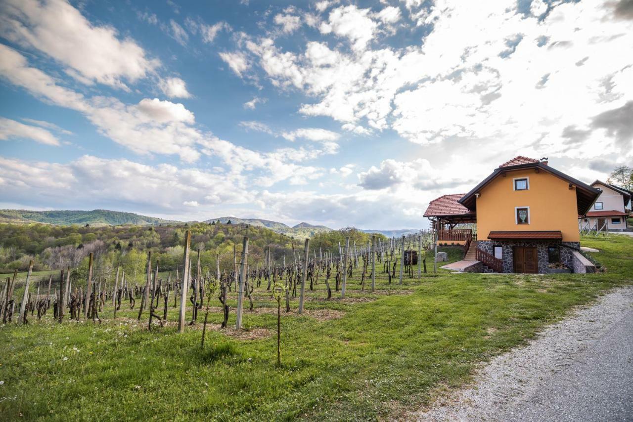 Holiday Home Blue Sky Globocice Kültér fotó