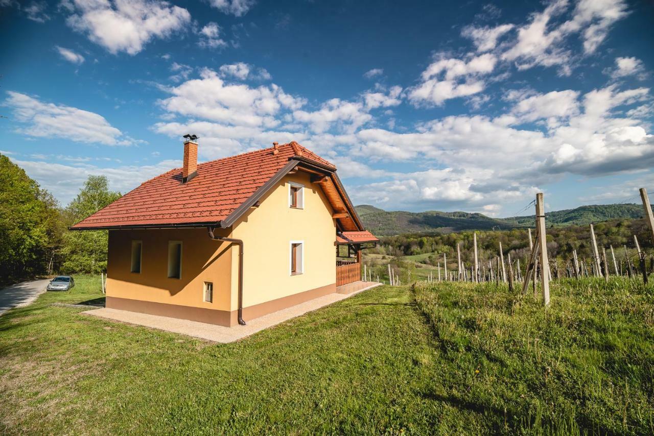 Holiday Home Blue Sky Globocice Kültér fotó